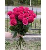 Букет из 15 розовых роз «Hotspot» (Эквадор), 60 см