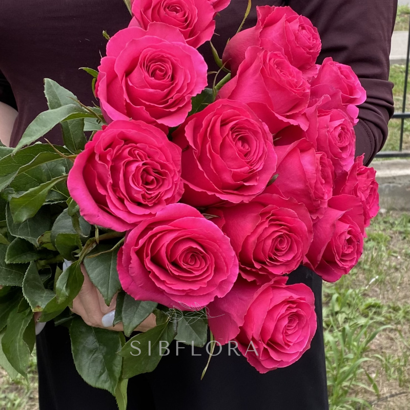 Букет из 15 розовых роз «Hotspot» (Эквадор), 60 см 2