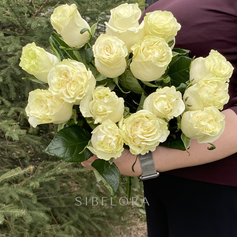 Букет из 15 белых роз «Mondial» (Эквадор), 50 см 2
