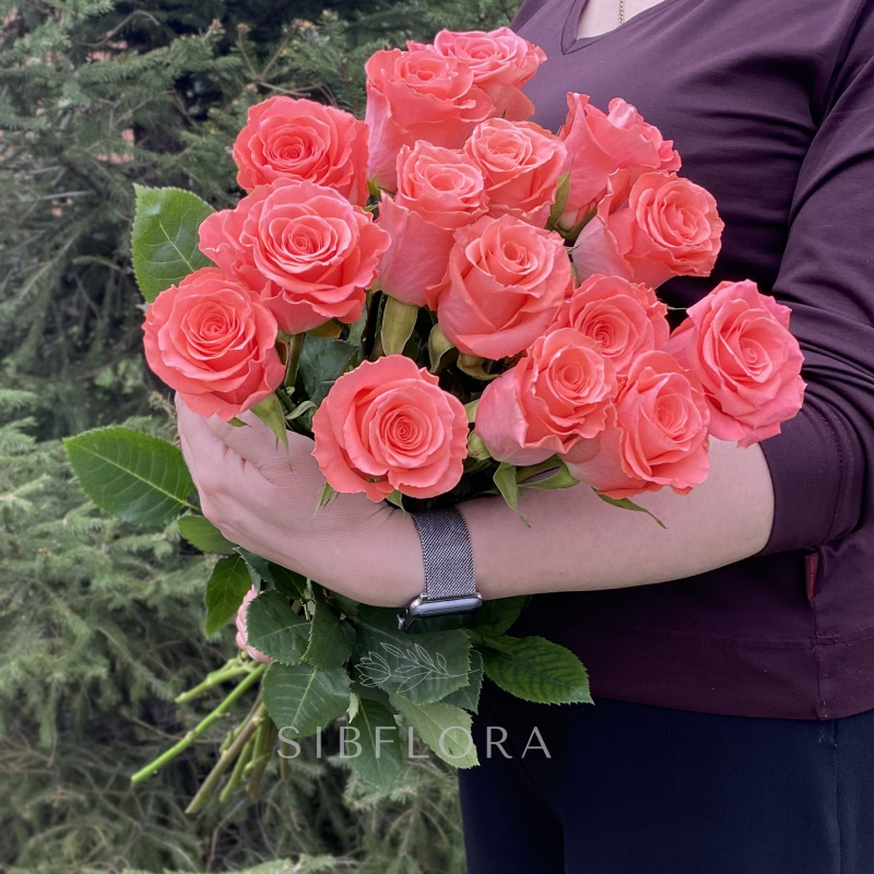 Букет из 15 роз «Amsterdam» (Эквадор), 50 см
