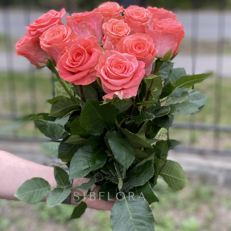 Букет из 15 роз «Amsterdam» (Эквадор), 50 см 1