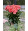 Букет из 15 роз «Amsterdam» (Эквадор), 50 см 1