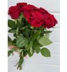 15 красных роз 50 см 1