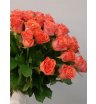 25 роз Дарк Вау 60 см