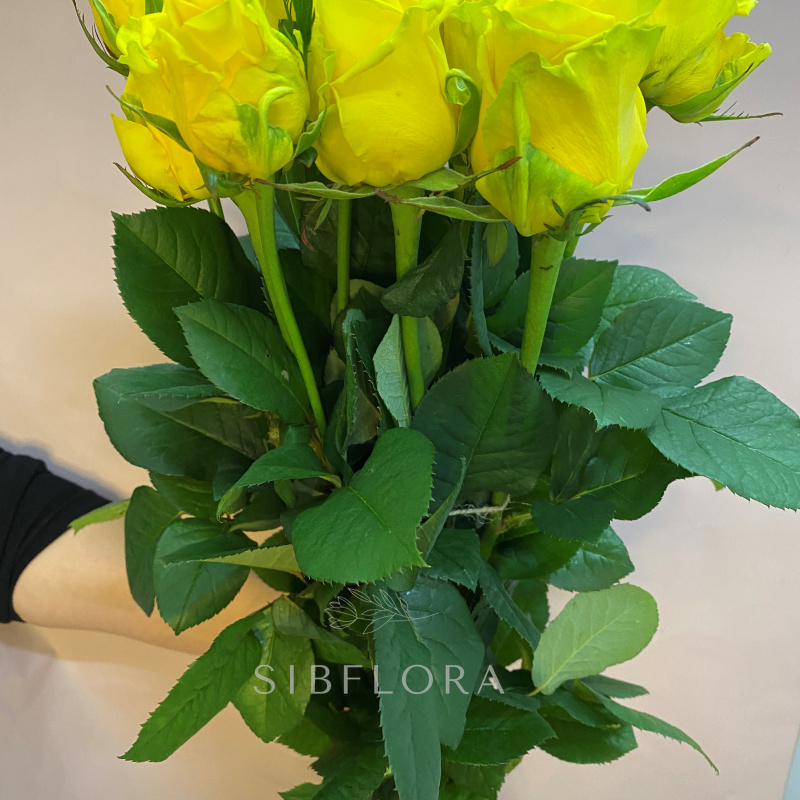 Букет розовых роз «15 желтых роз 50см»