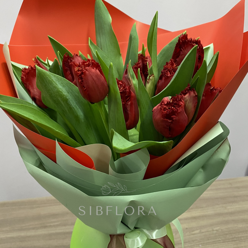 15 бахромчатых красных тюльпанов