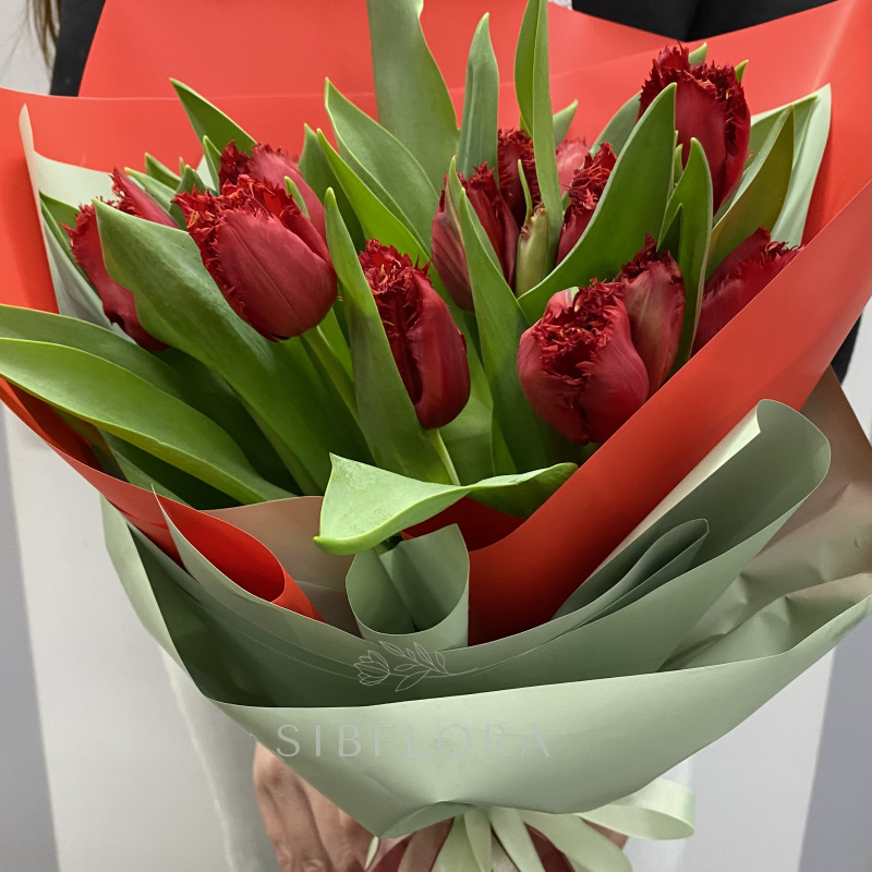 15 бахромчатых красных тюльпанов 3