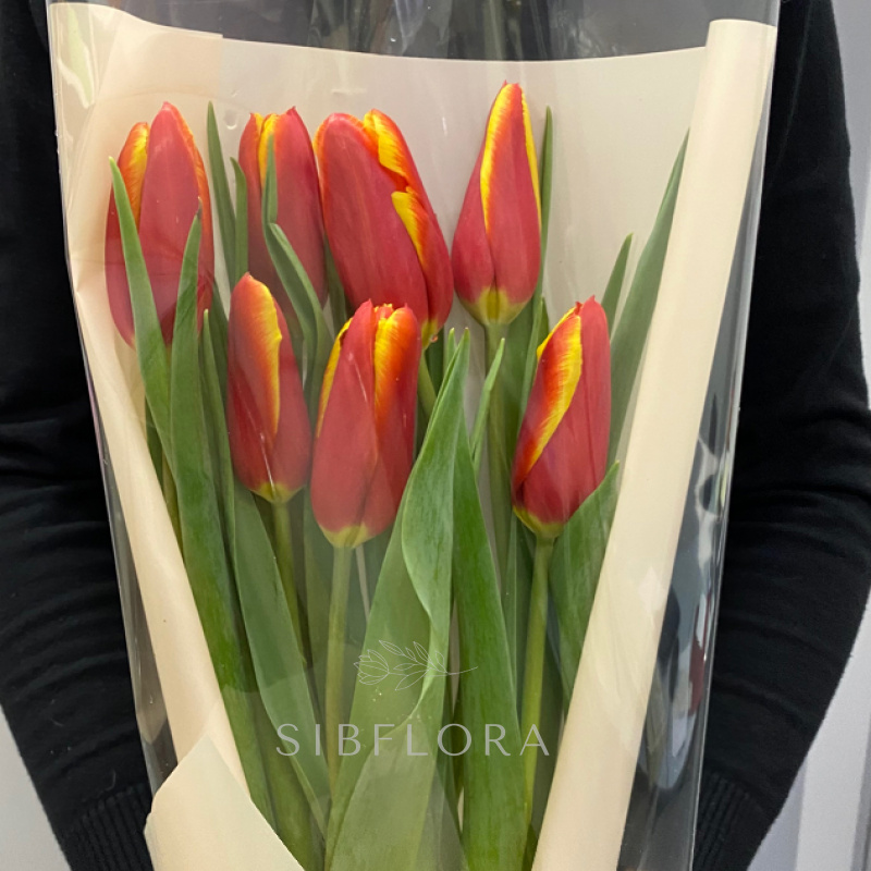 Букет из 7 Омских тюльпанов N4 1