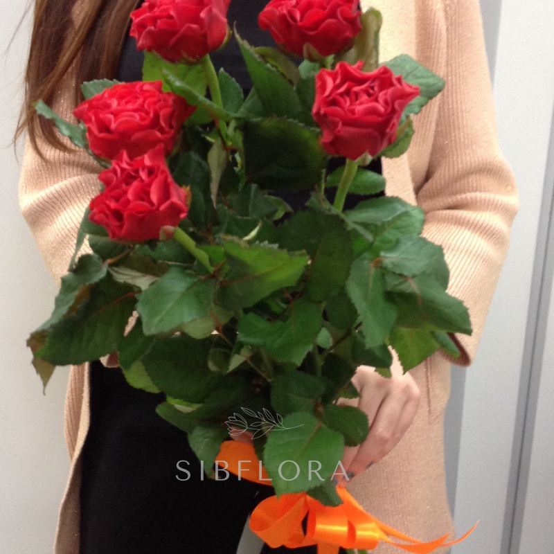 5 красных роз Эль Торро 2