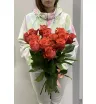 13 роз Игуана