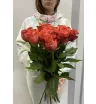 13 роз Игуана 1