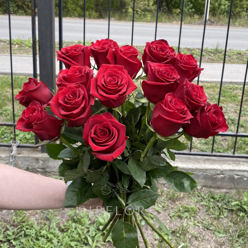 Букет из 15красных роз &laquo;Explorer&raquo; (Эквадор), 50 см