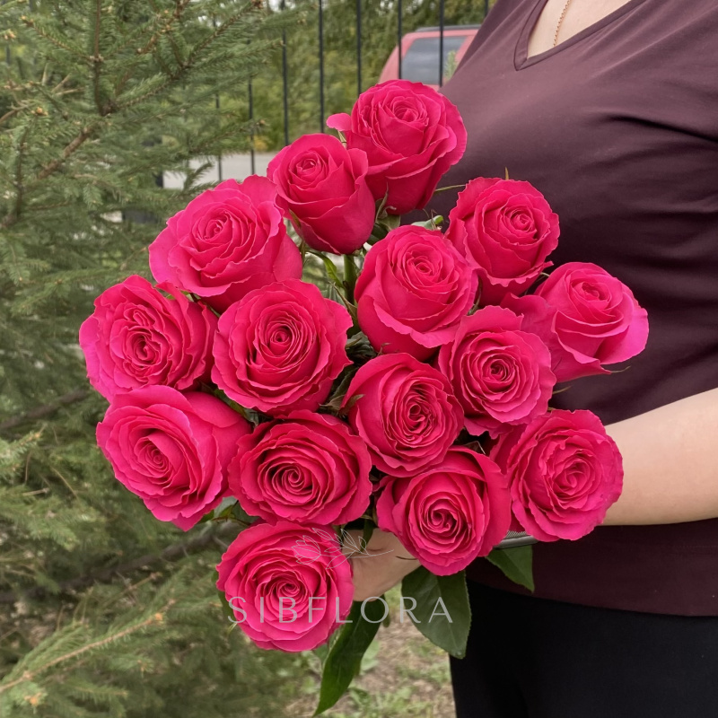 Букет из 15 розовых роз &laquo;Hotspot&raquo; (Эквадор), 60 см 1