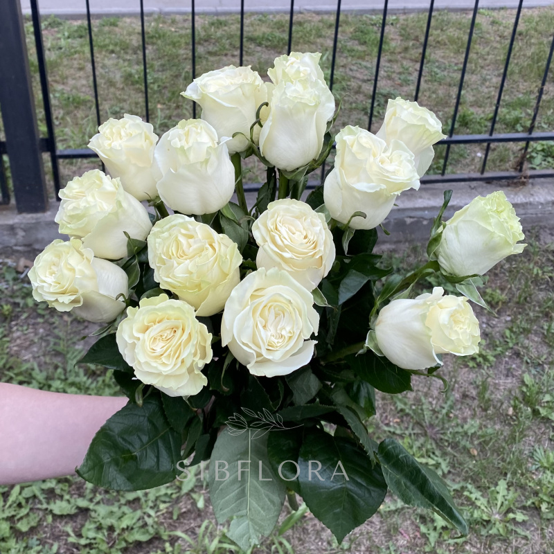 Букет из 15 белых роз «Mondial» (Эквадор), 50 см