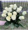 Букет из 15 белых роз «Mondial» (Эквадор), 50 см