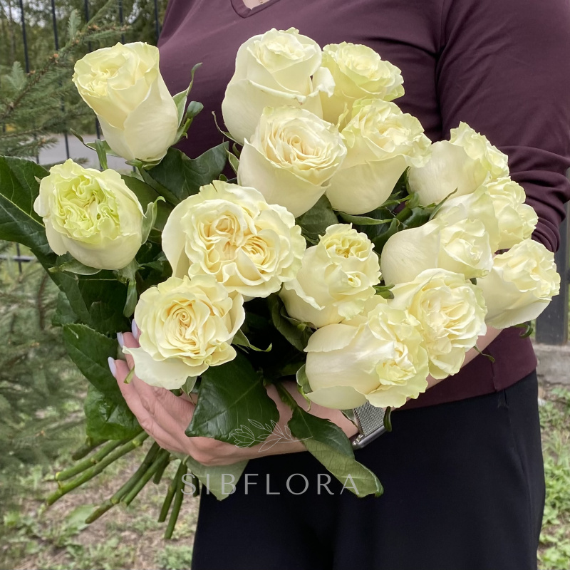 Букет из 15 белых роз «Mondial» (Эквадор), 50 см 1