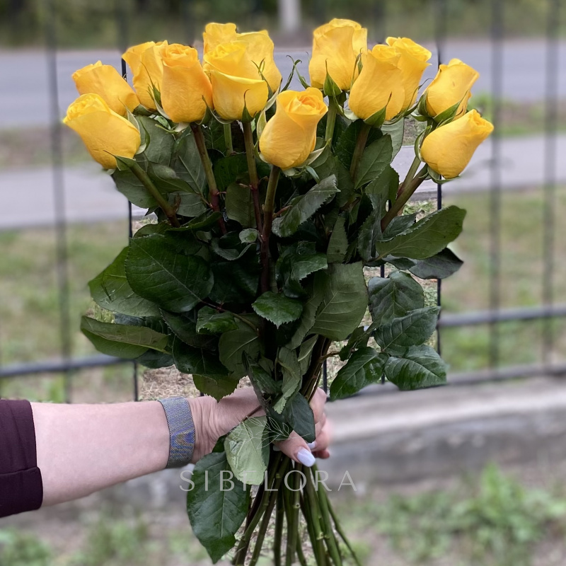 Букет розовых роз «Букет из 15 желтых роз, Эквадор, 50 см»