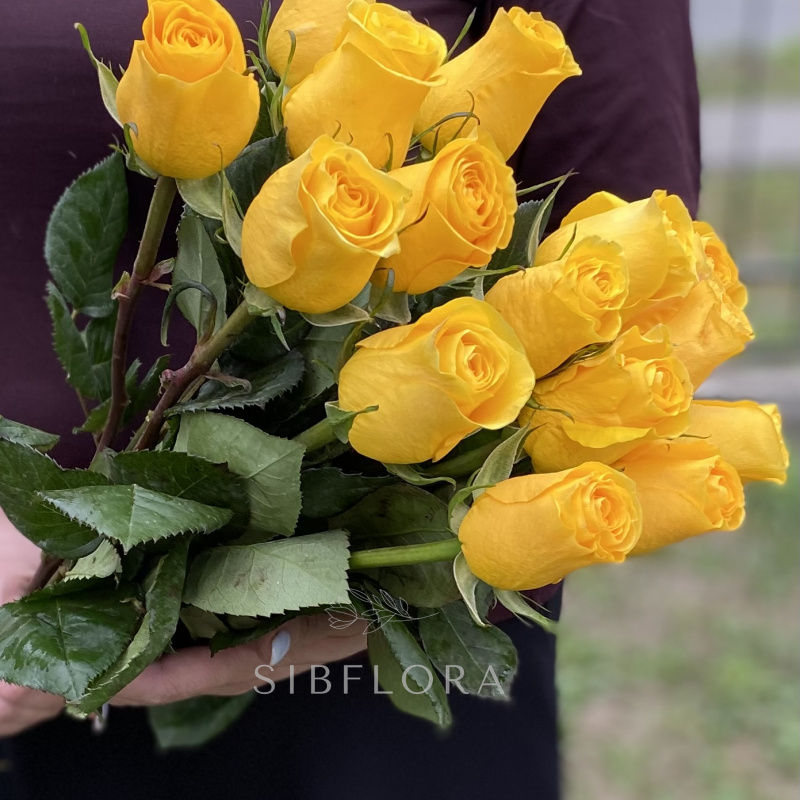 Букет из 15 желтых роз, Эквадор, 50 см 1