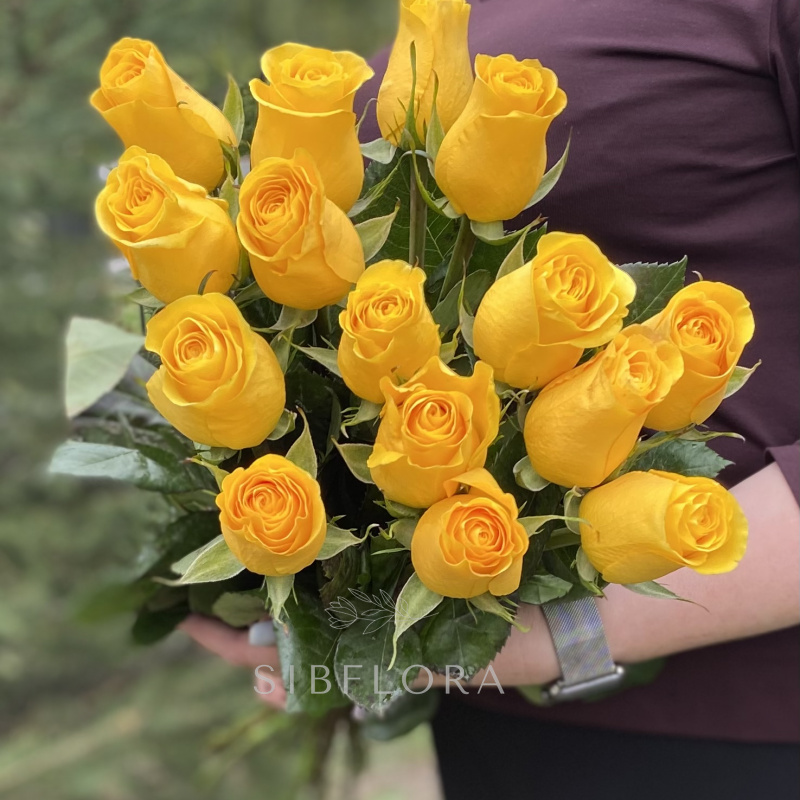 Букет из 15 желтых роз, Эквадор, 50 см 2