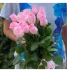 Нежность роз 2 2