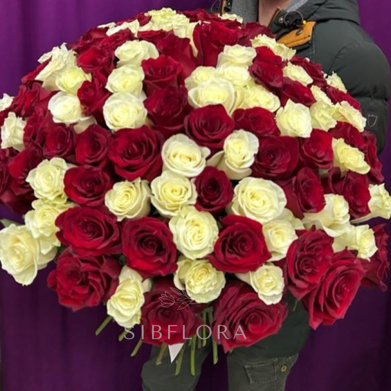 Букет из 101 розы Эквадор 1