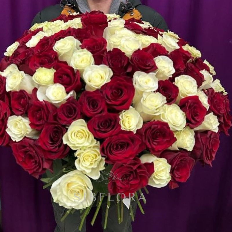 Букет из 101 розы Эквадор