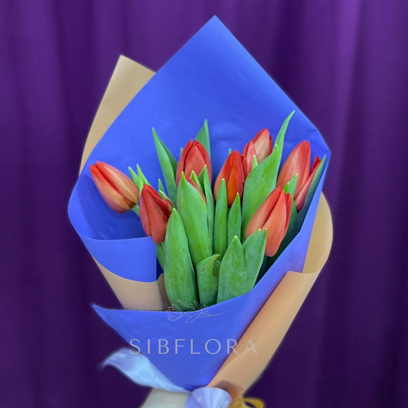 9 Омских тюльпанов в оформлении