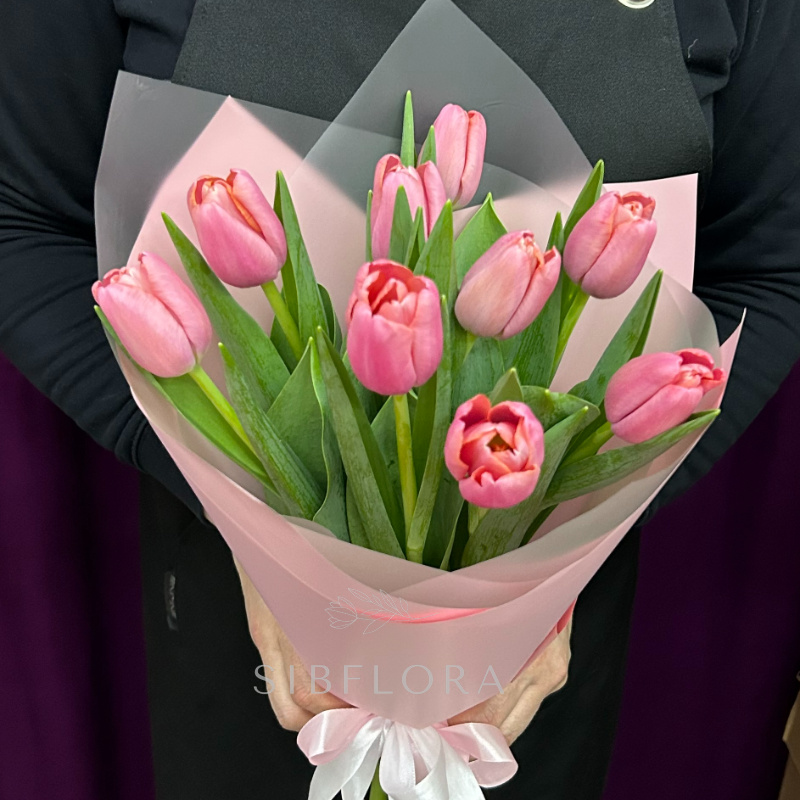 9 очаровательных Омских тюльпанов в оформлении