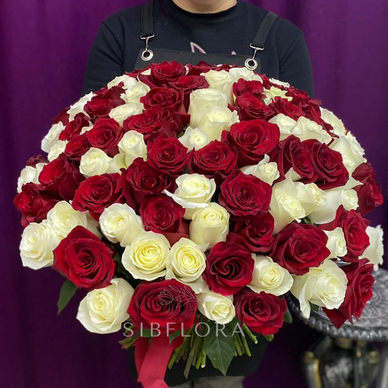 Букет из 101 белой и красной розы Эквадор