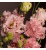 Лизиантус (Эустома) розовая махровая