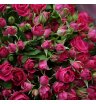 Букет «35 кустовых роз» 2