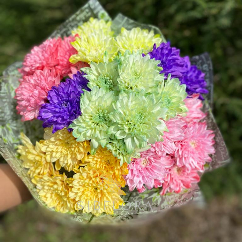 Букет «7 цветных хризантем»