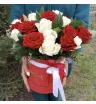 Композиция в коробке «Инь-Янь» 1